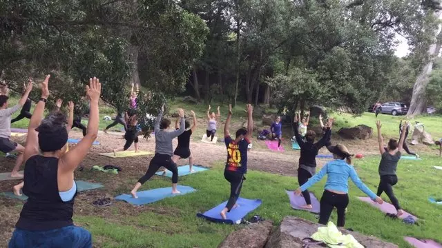 YogAmina