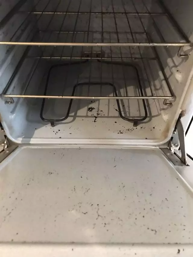 Alejandra Janitorial
