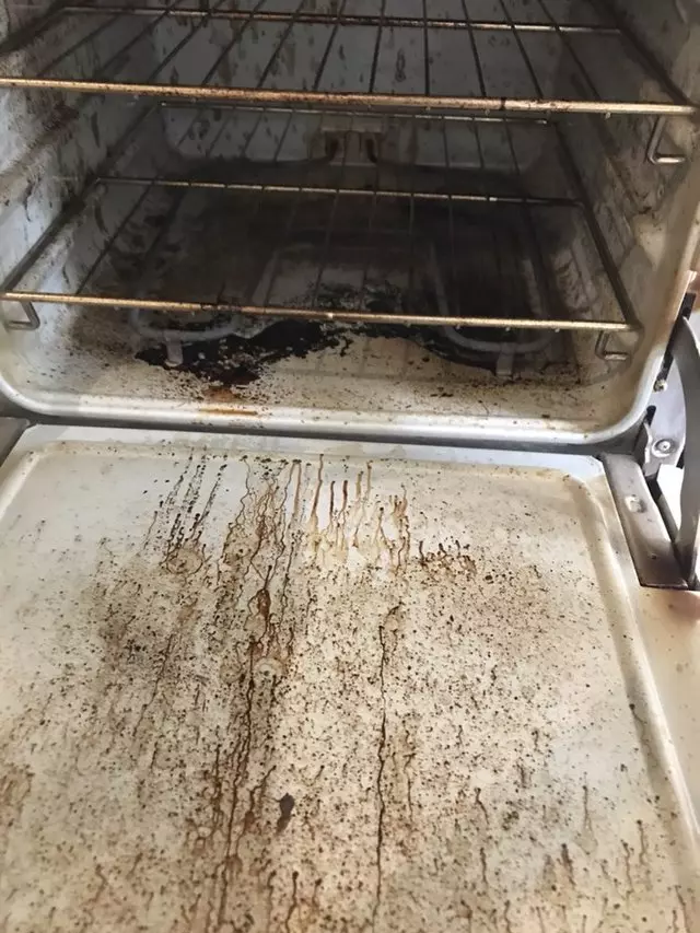 Alejandra Janitorial