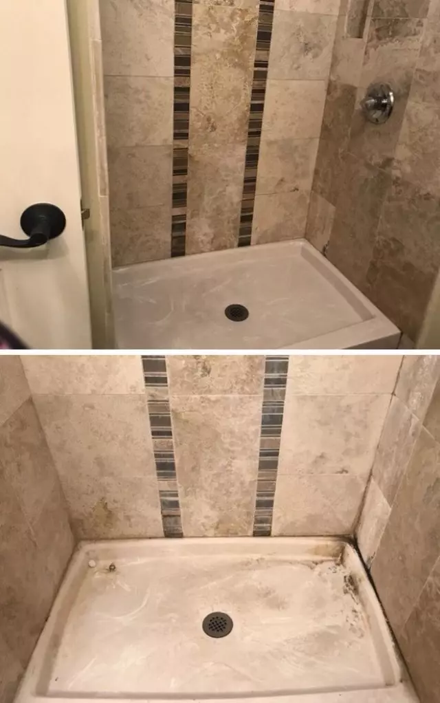 Alejandra Janitorial