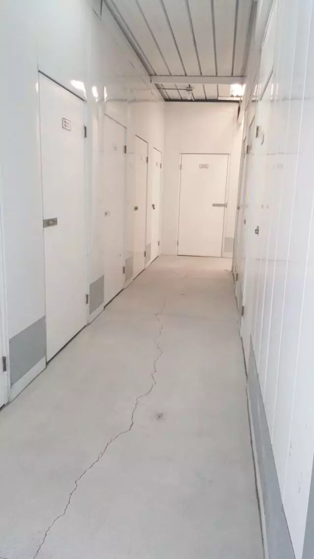Alejandra Janitorial