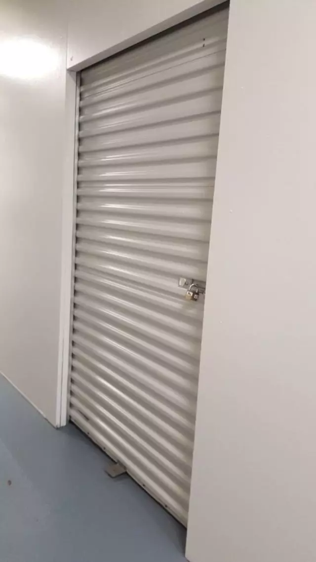 Alejandra Janitorial