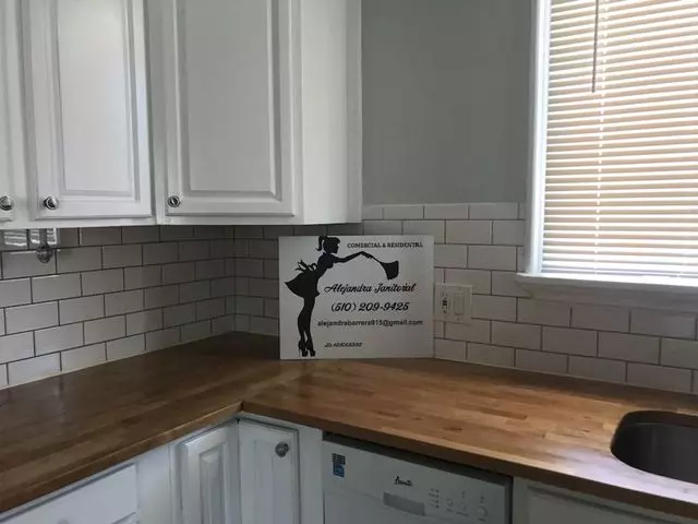 Alejandra Janitorial
