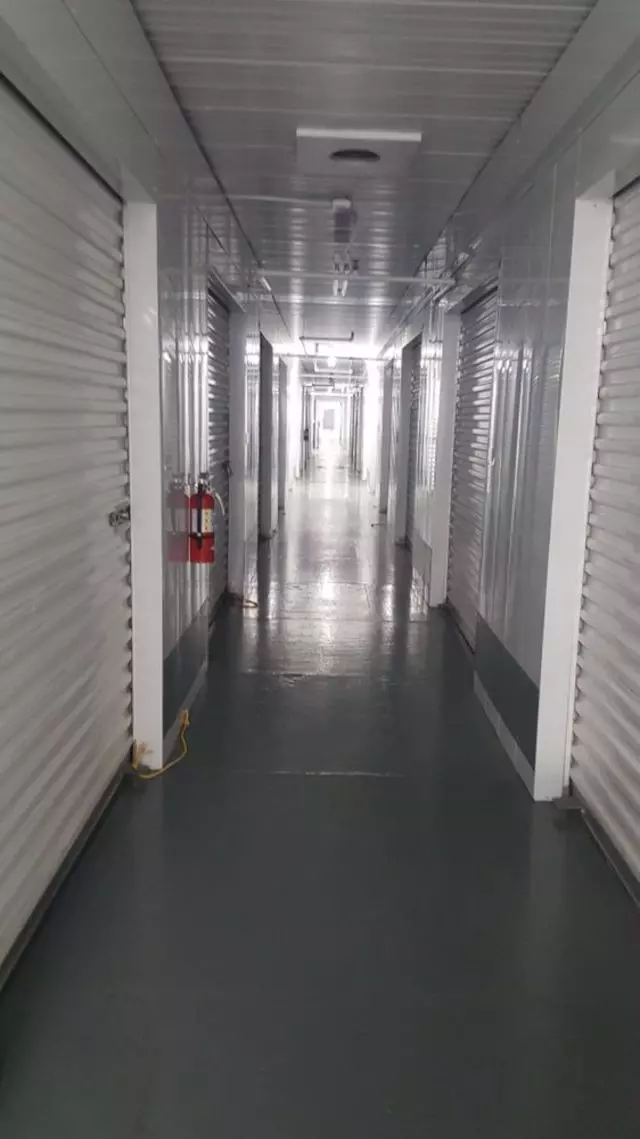 Alejandra Janitorial