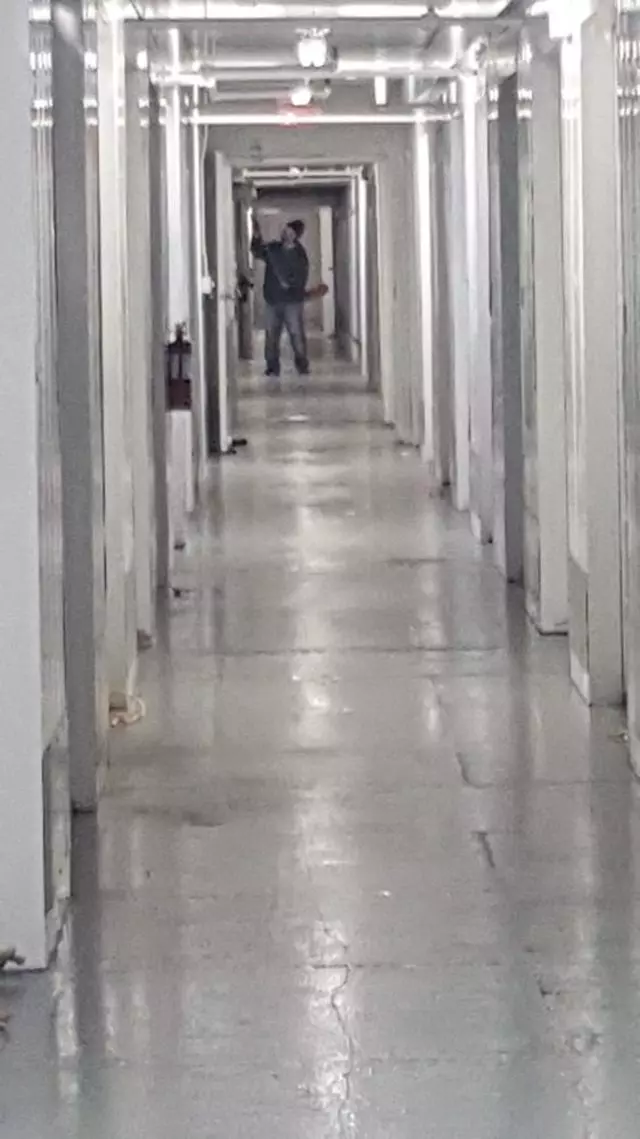 Alejandra Janitorial