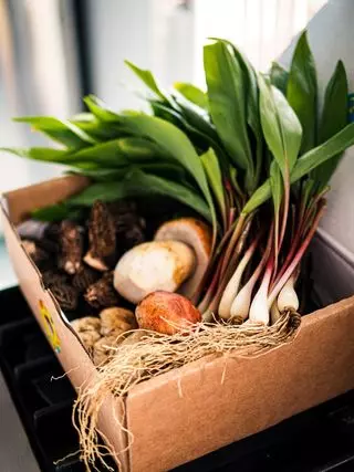 Forage Box