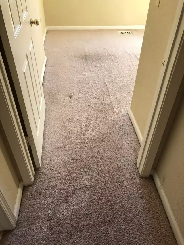 Just Like New Carpet Cleaning Co