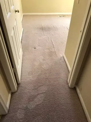 Just Like New Carpet Cleaning Co