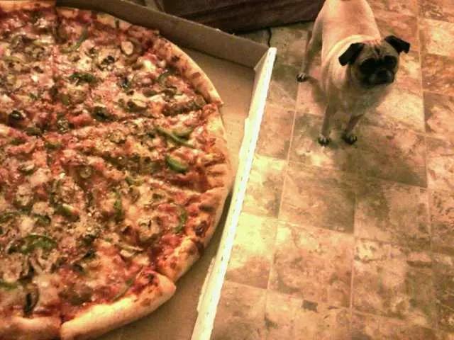 Amazona’s Pizza