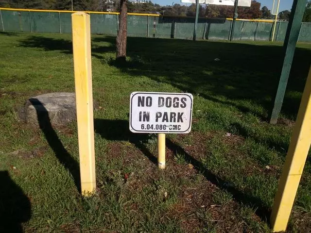 Arroyo Viejo Park