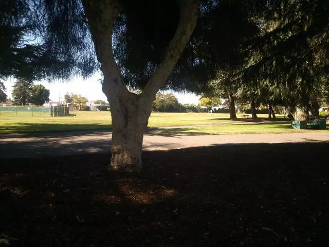 Arroyo Viejo Park