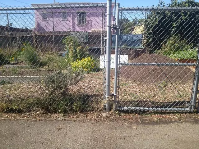 Arroyo Viejo Park