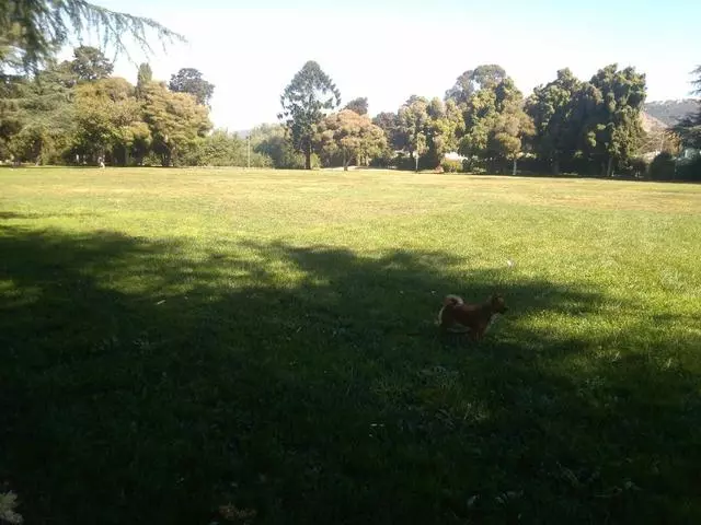 Arroyo Viejo Park