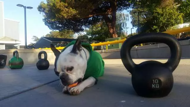 Kettlebell Zen