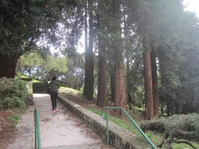 Kettlebell Zen