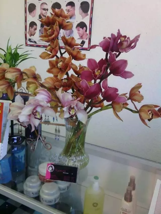 Ayana’s Beauty Salon