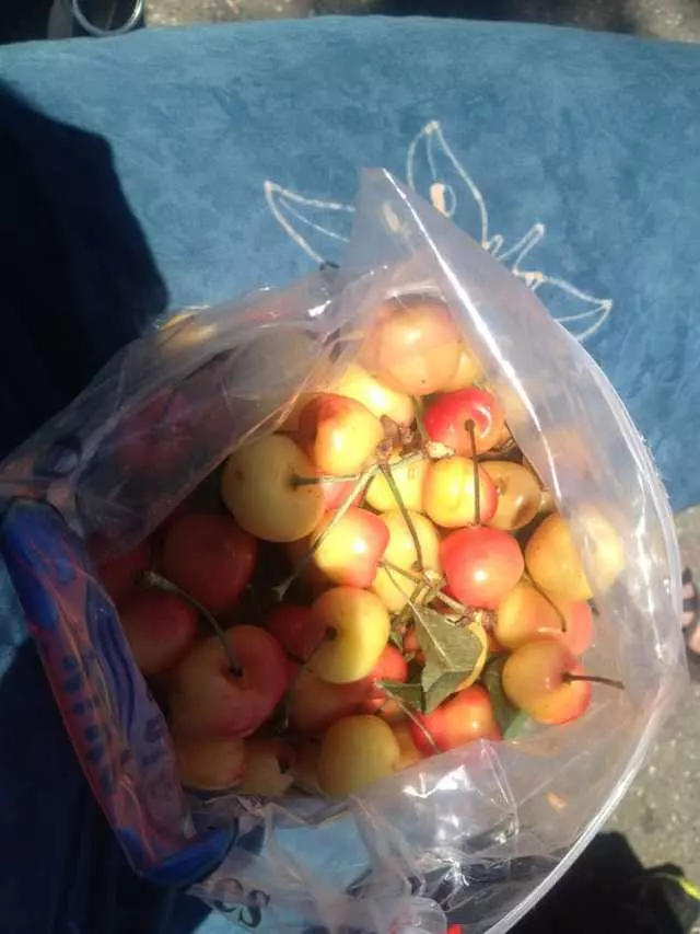 Nature&apos;s Best Foods