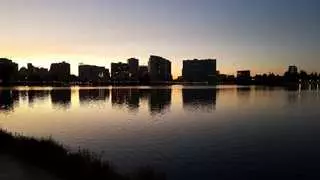 1200 Lakeshore Apartments