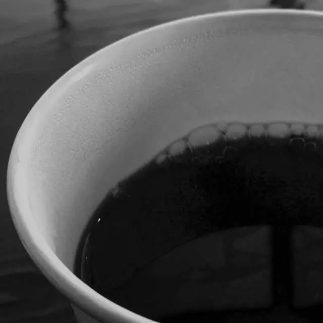 Café Santana Roasting Company