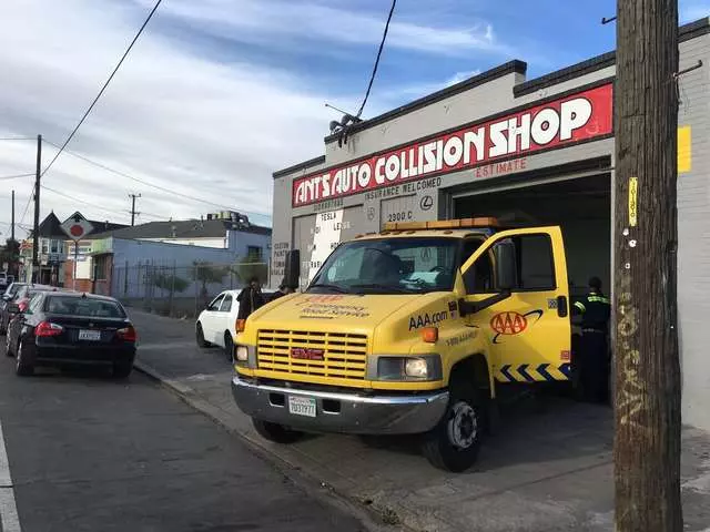 Ants Auto Collision Shop