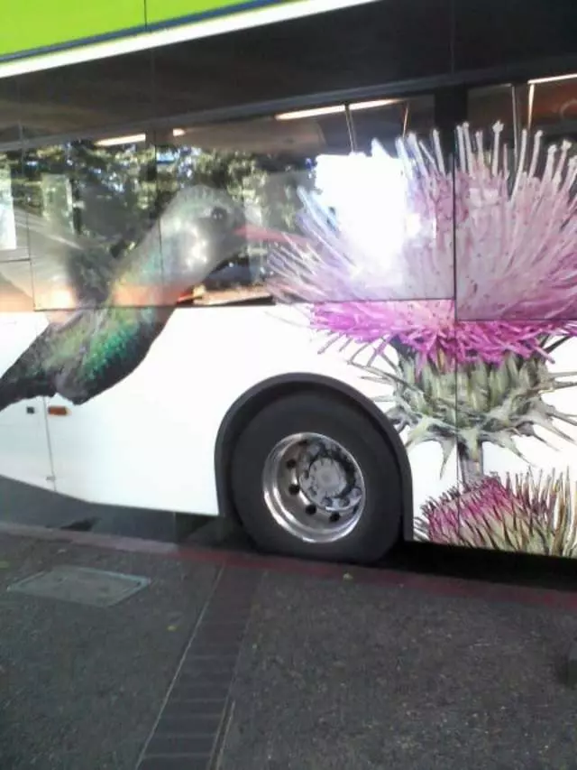 AC Transit