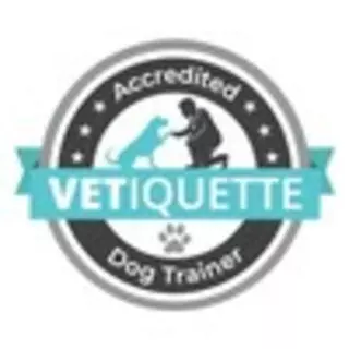 Dog Squad Dog Training