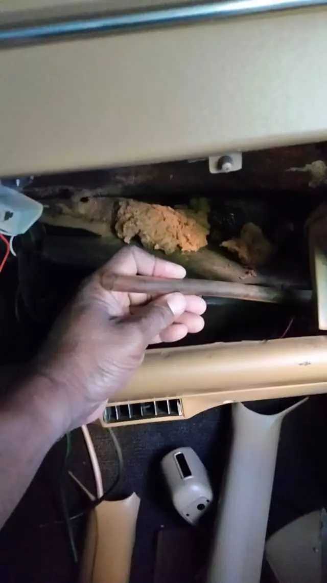 American Auto Upholstery & Glass