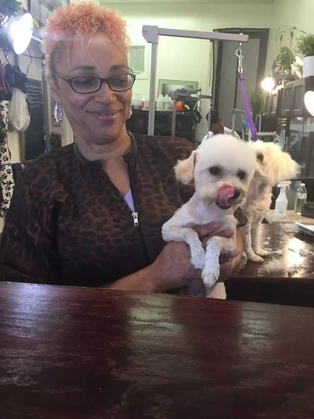 After Hours Dog Grooming