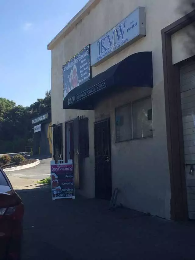 After Hours Dog Grooming