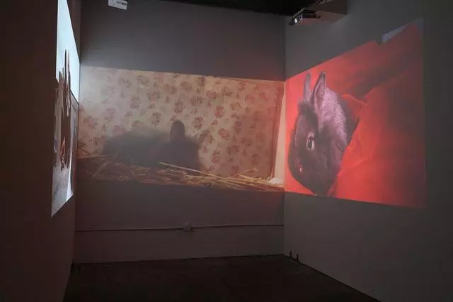 Aggregate Space Gallery