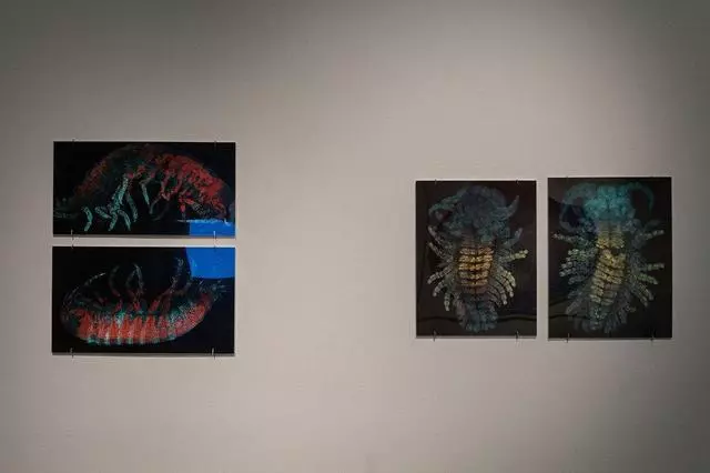 Aggregate Space Gallery