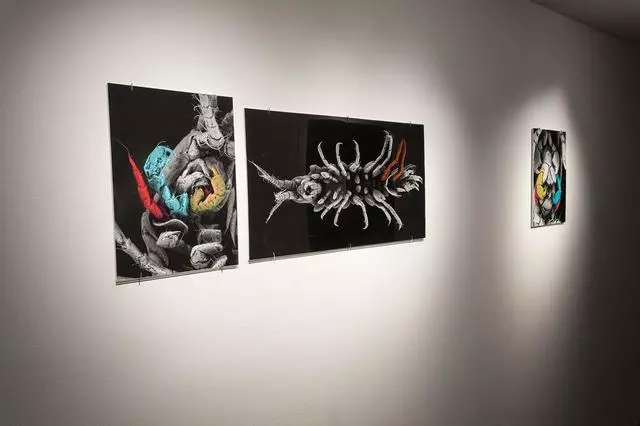 Aggregate Space Gallery