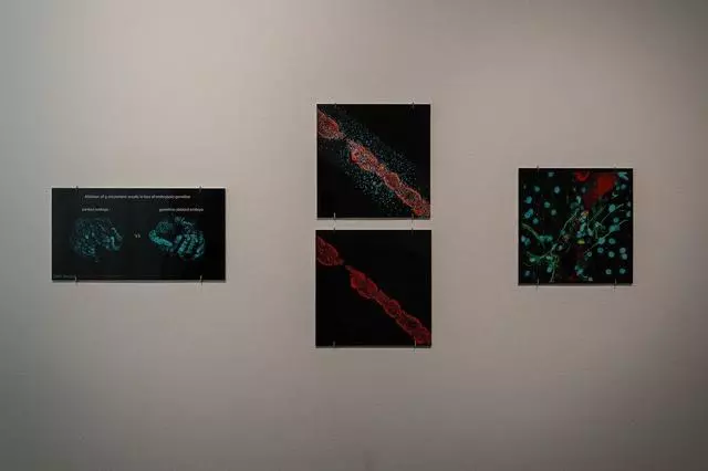 Aggregate Space Gallery