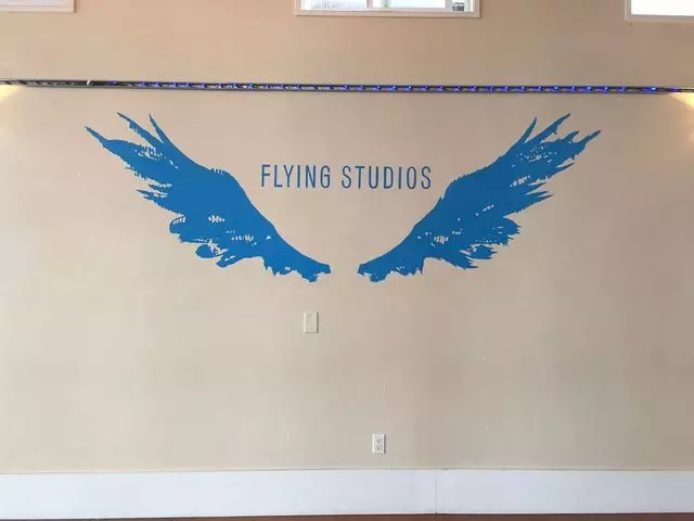 Flying Studios