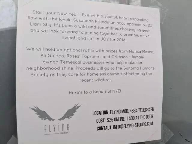 Flying Studios