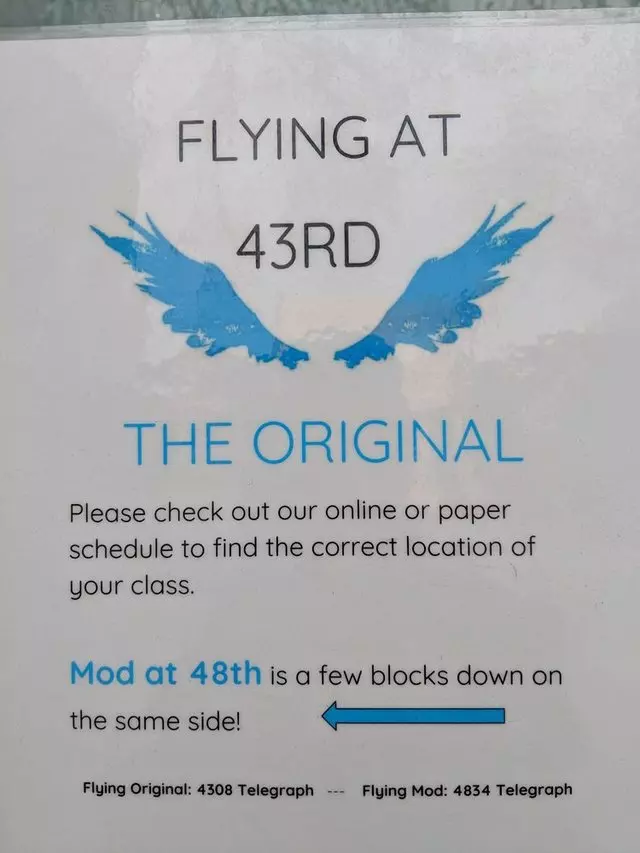 Flying Studios