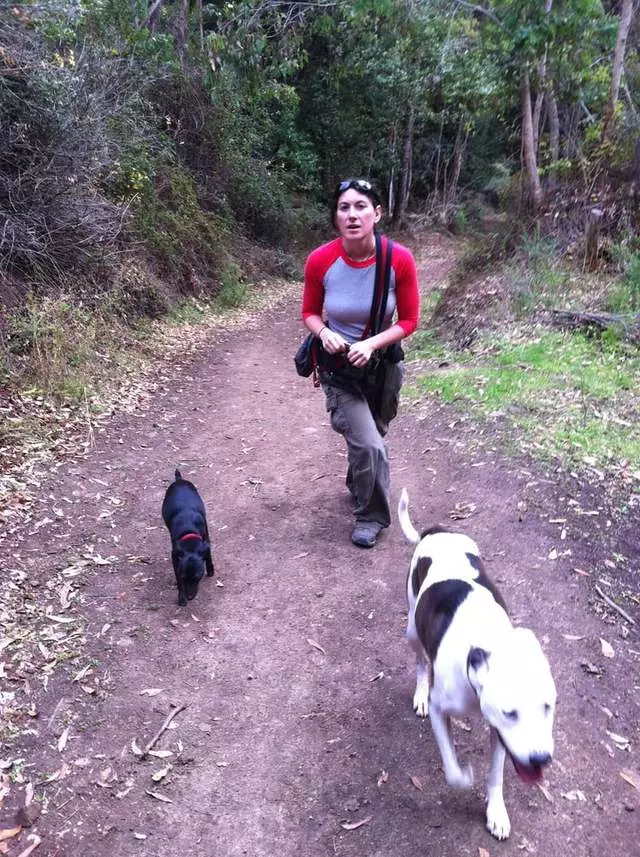 Action Dog!
