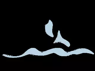 Esalen Integrative Massage Therapy