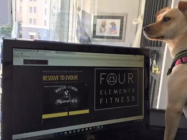 FOUR Elements Fitness