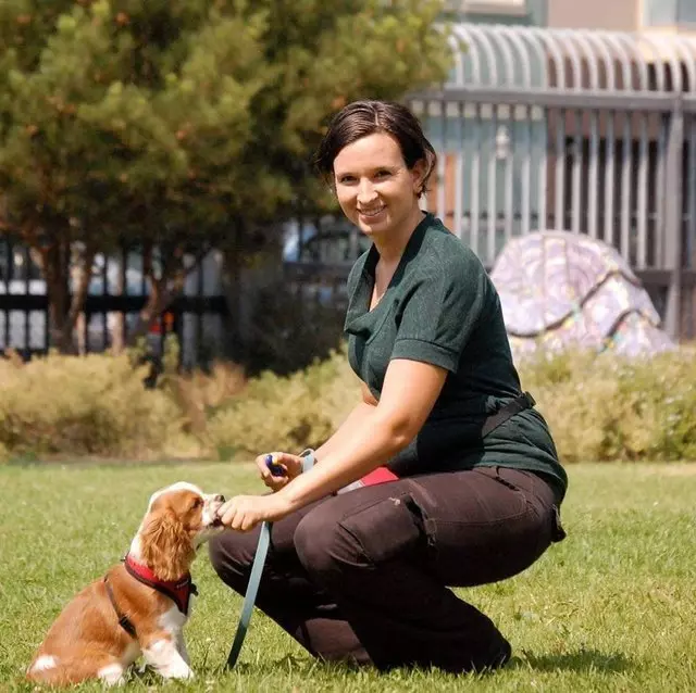 Petagogy Dog Training