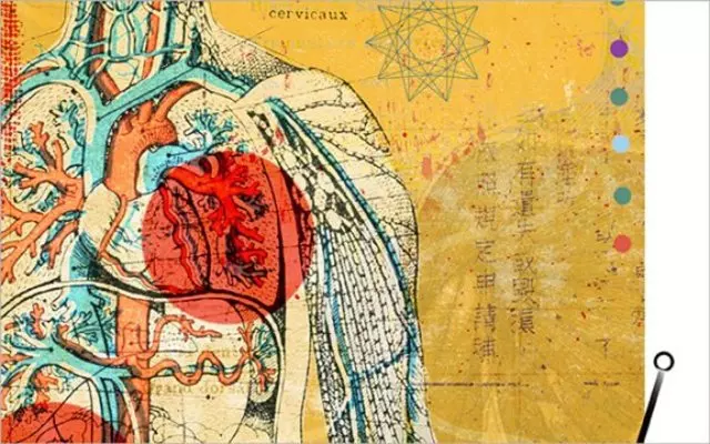 Embody Alchemy