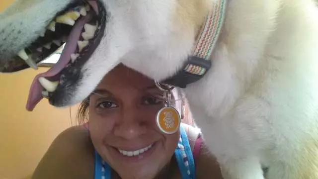 All Fur Love