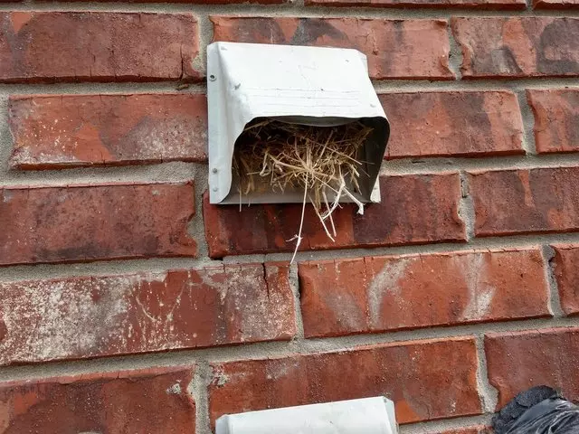 Slade Vent Cleaning and Repair