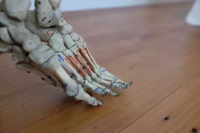 The Working Body