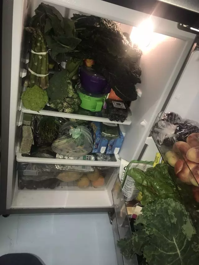 Plant Based Fitness