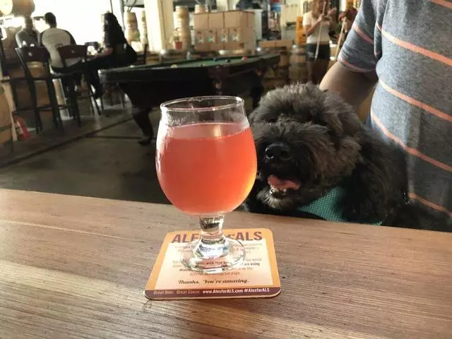Ale Industries