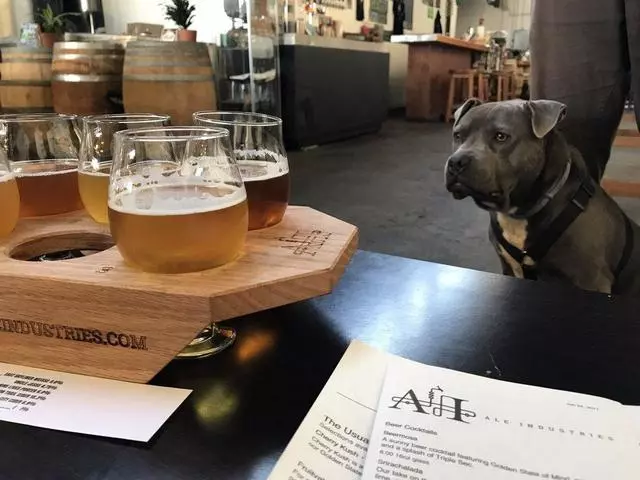 Ale Industries