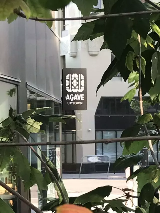 Agave Uptown