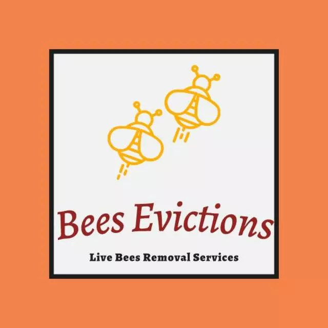 Bees Evictions