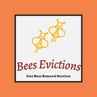 Bees Evictions